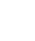 Icon do botão